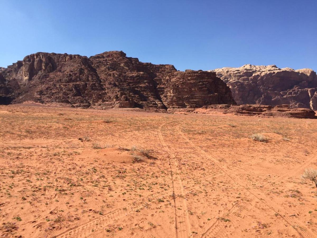 Wadi Rum Bedouin Experience Hotel Exterior photo