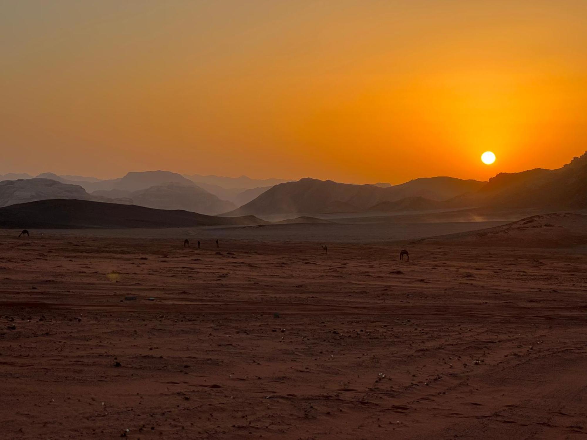 Wadi Rum Bedouin Experience Hotel Exterior photo