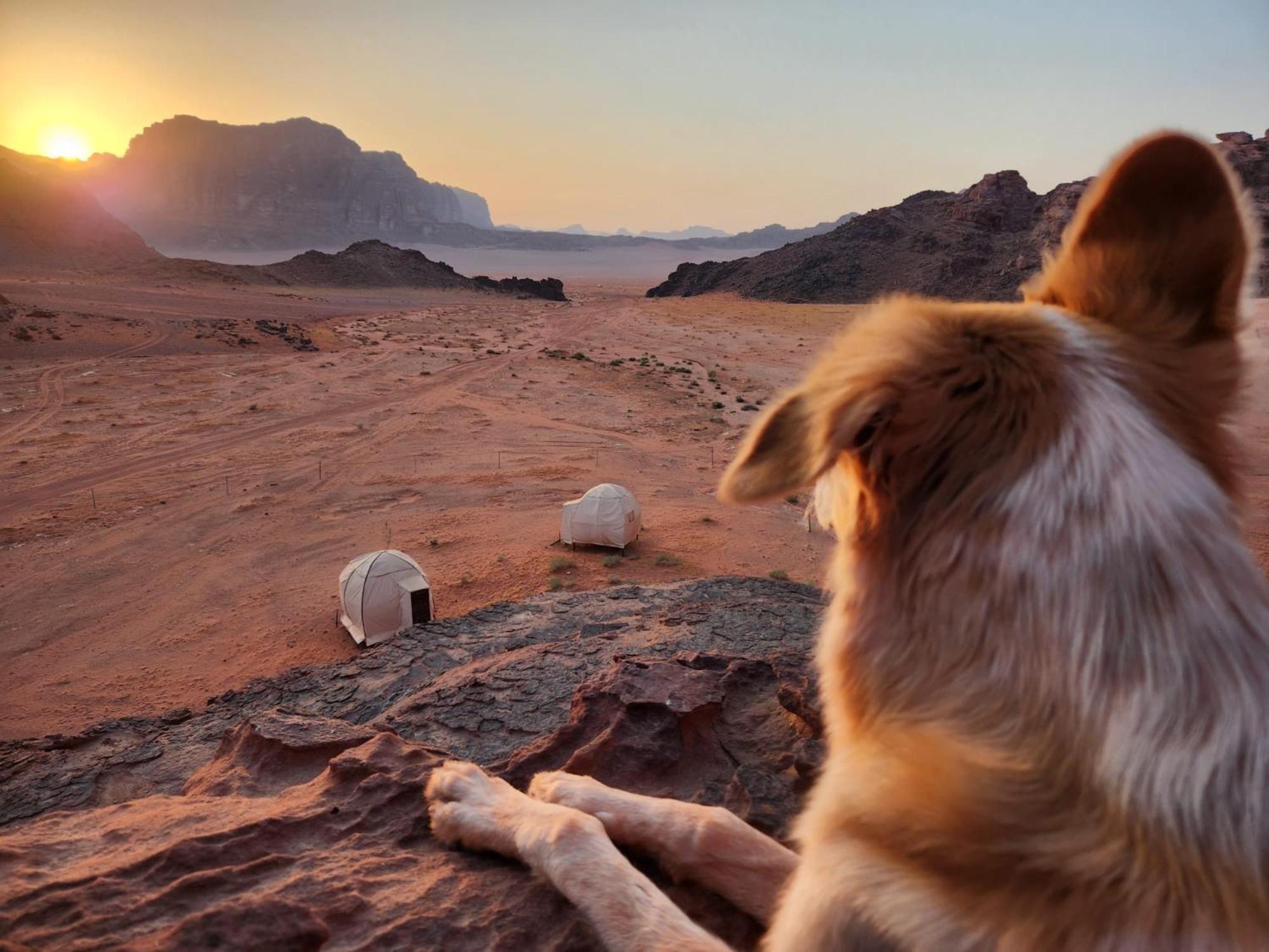 Wadi Rum Bedouin Experience Hotel Exterior photo