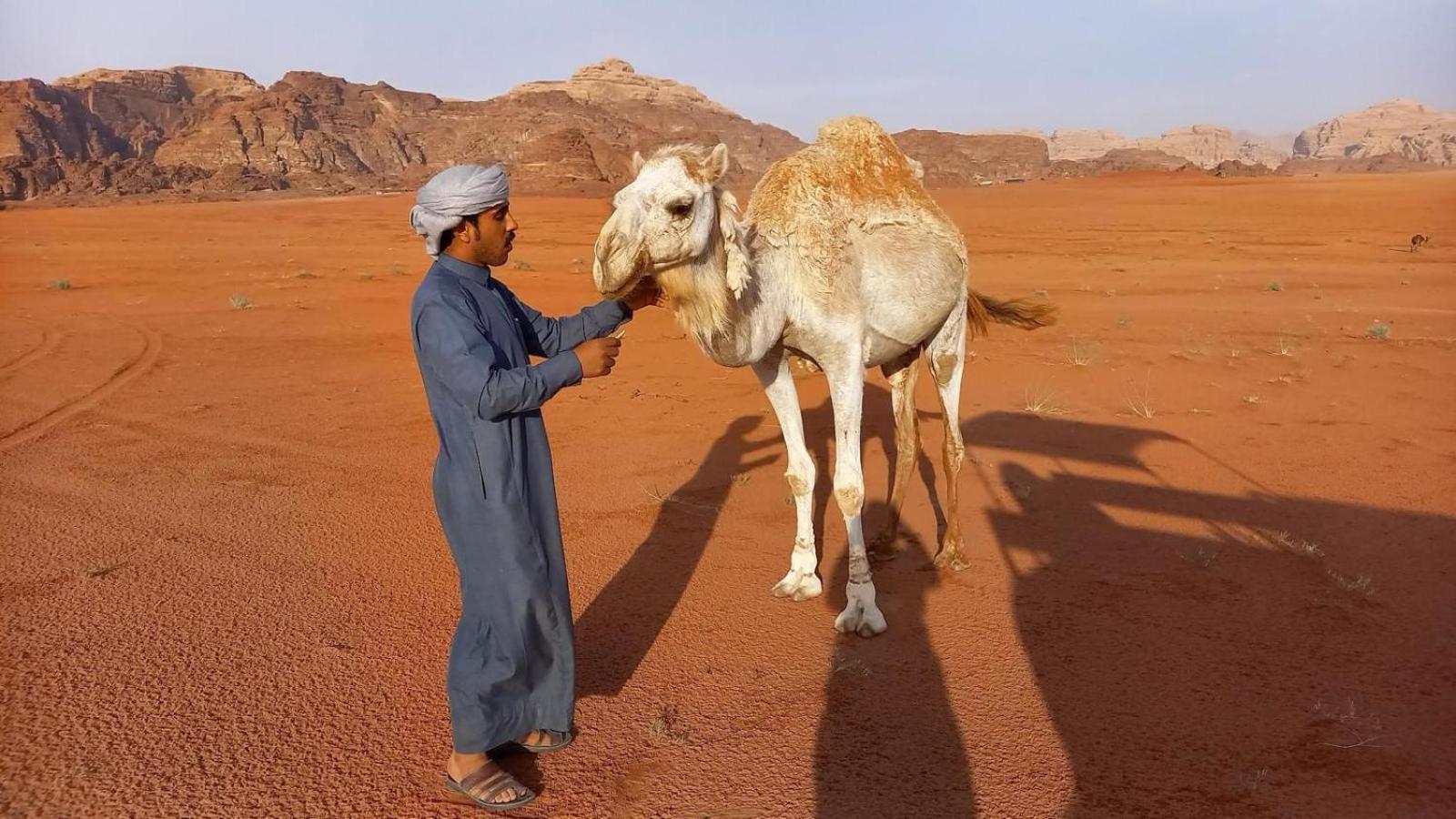 Wadi Rum Bedouin Experience Hotel Exterior photo